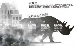 小心，中國產(chǎn)業(yè)園區(qū)的“灰犀?！庇謥砹?！